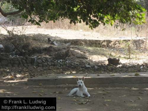 Elephanta Island, Maharashtra, Bombay, Mumbai, India